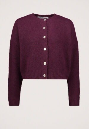 Colourful Rebel Yara Knitted Vest