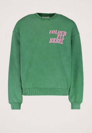 Colourful Rebel Logo Acid Wash Sweater