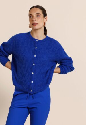 Studio Anneloes Bibi Spring Cardigan 13776 Vest 7301 Electric Blue