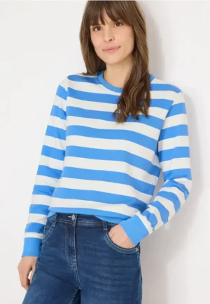 Gestreept sweatshirt