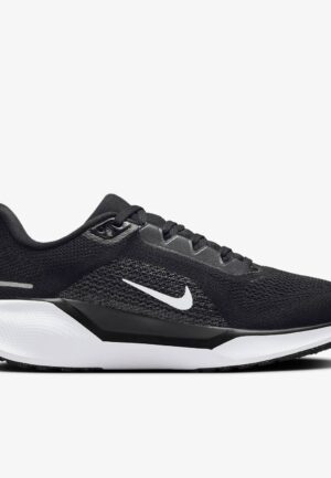 Nike Pegasus 41 Hardloopschoenen Dames 42