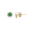 US Polo Assn Jewellery Celine Geelgouden Oorbellen