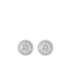 US Polo Assn Jewellery Cristal Rhodium Oorbellen