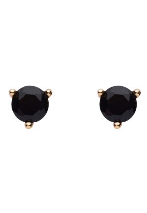 US Polo Assn Jewellery James Geelgouden Oorbellen