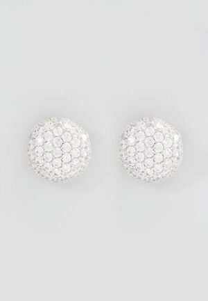 US Polo Assn Jewellery Courtney Rhodium Oorbellen