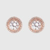 US Polo Assn Jewellery Cristal Rosegouden Oorbellen