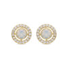 Luxenter Oorbellen met Glimmende Zirkonia 18k goud afwerking - Riashe