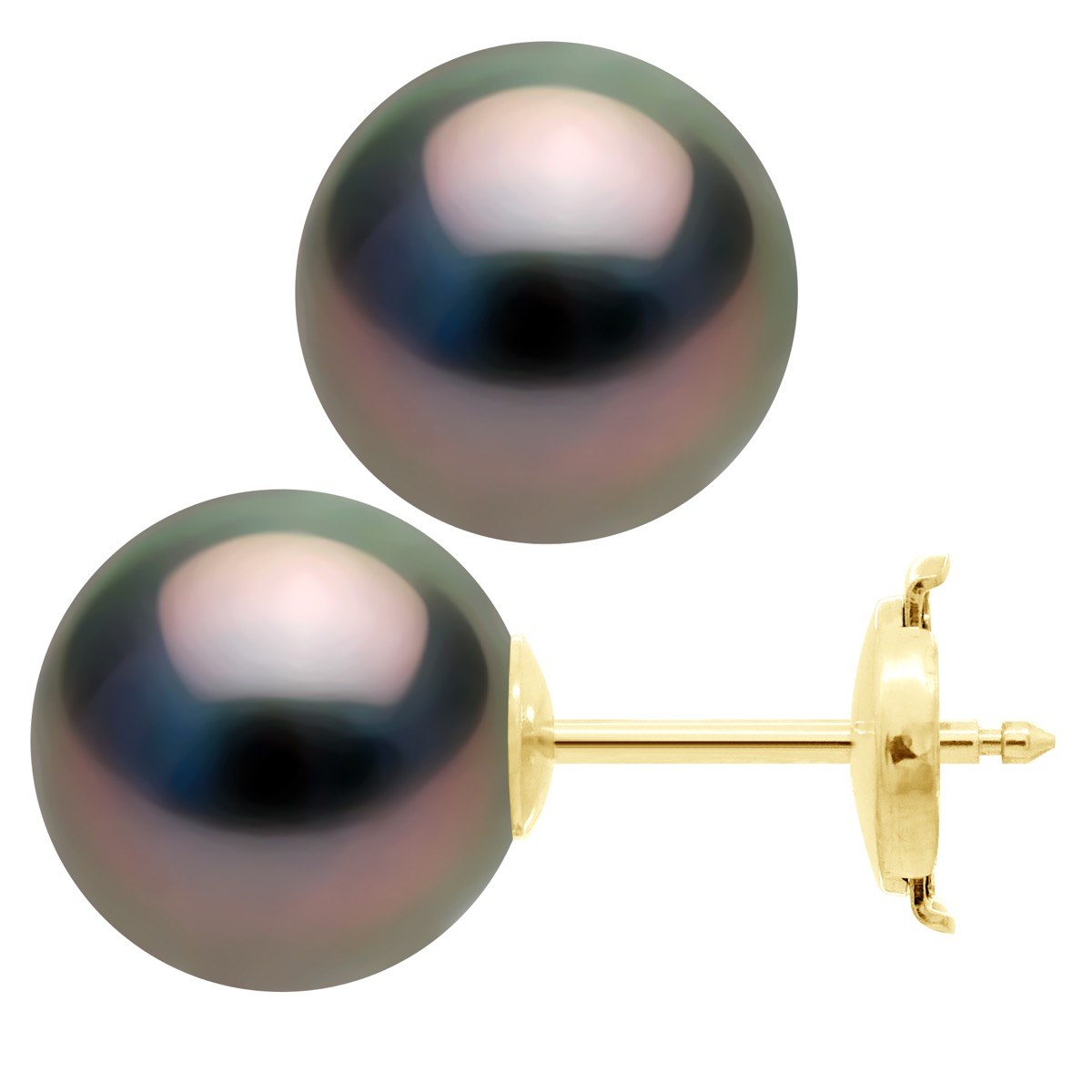 Oorbellen - Geel Goud 375 - Echte Gecultiveerde Tahiti Parel Rond 10-11 mm