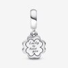 Pandora 'Familie & Vrienden' Dames 925 Sterling Zilver Bedel - Zilver 792245C01
