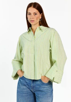 Aaiko Elda Strass Co 599 Blouse 130319 Shadow Lime