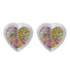 Orphelia Dames 925 Sterling Zilveren Stud Oorbellen - Zilver CC-32