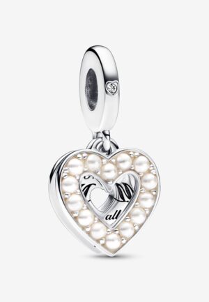 Pandora 'Familie & Vrienden' Dames 925 Sterling Zilveren Charm - Zilver 792649C01