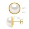 Oorbellen - Surroundings Sleek - Prestige - Geel Goud - Echte Cultuur Zoetwater Parels Knop 10-11 mm - Afbeelding 2