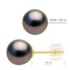 Oorbellen - Geel Goud 375 - Echte Gecultiveerde Tahiti Peren Rond 8-9 mm - Afbeelding 2