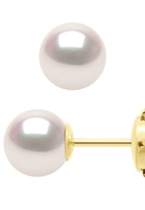 Oorbellen - Geel Goud 750 (18 Karaat) - Echte GeCultiveerde Parel Akoya Japanse Gecertificeerd Rond 7-8 mm