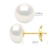 Oorbellen - Geel Goud - Echte Gecultiveerde Zoetwaterparels Knop 9-10 mm - Afbeelding 2