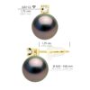 Oorbellen Prestige - Diamanten 0,04 ct - in Geel Goud 750 en Echte Cultiveerde Tahitiaanse Parel Rond 8-9 mm - Afbeelding 2