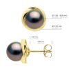 Oorbellen - Geel Goud - Echte Gecultiveerde Tahiti Parels Rond 7-8 mm - Afbeelding 2